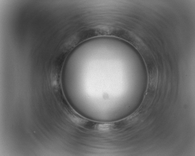 X0000070380134200606161354