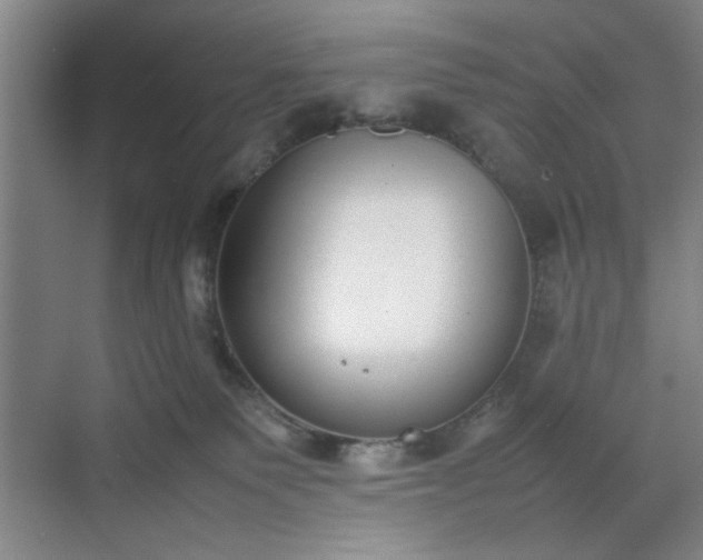 X0000070380135200606161354