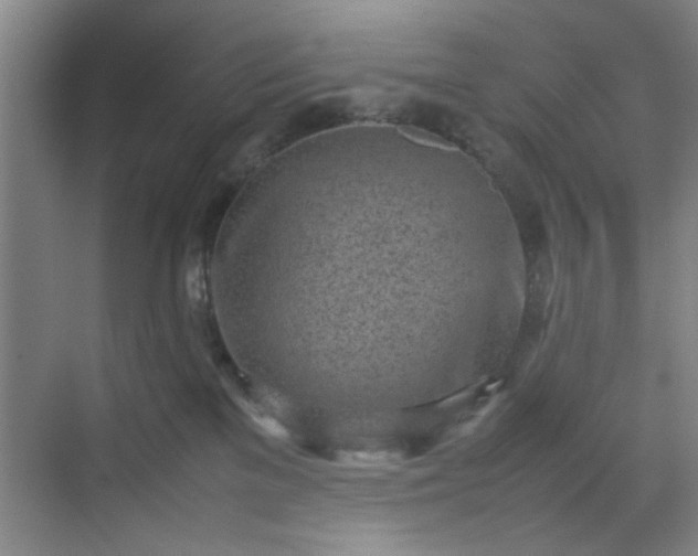 X0000070380137200606161354