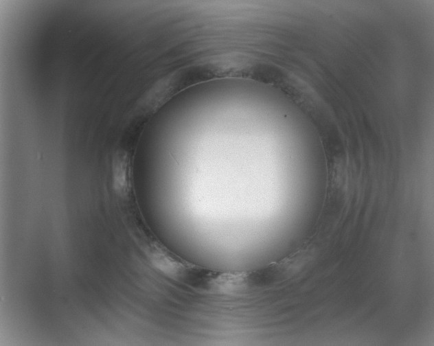 X0000070380138200606161354