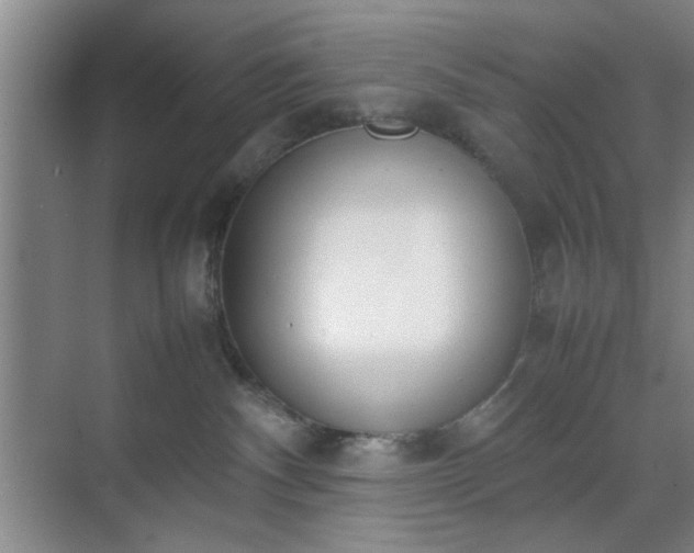 X0000070380140200606161353