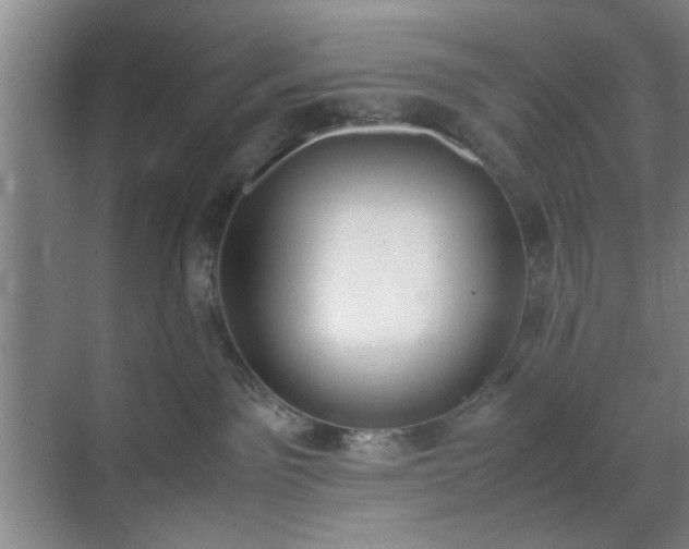 X0000070380141200606161353