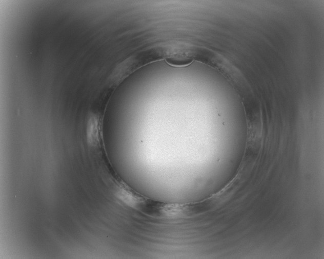 X0000070380142200606161353