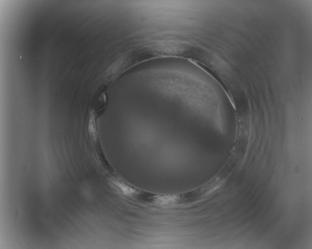 X0000070380143200606161353