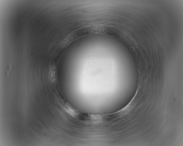 X0000070380144200606161353