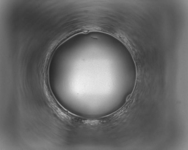 X0000070380145200606161353