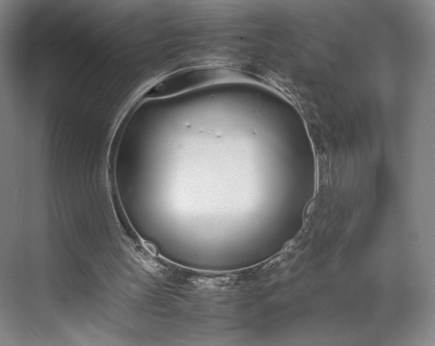 X0000070380147200606161353