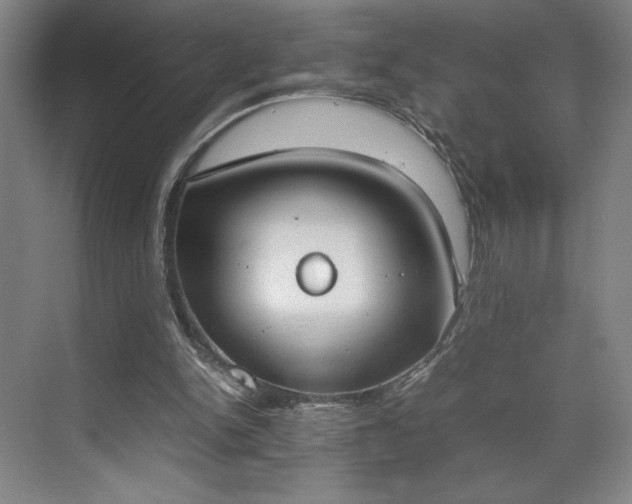 X0000070380150200606161353