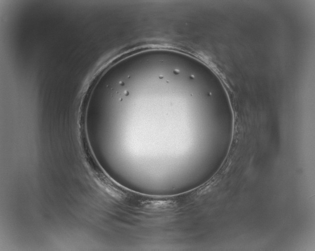 X0000070380151200606161353