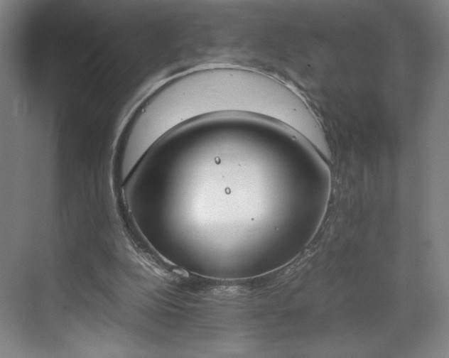 X0000070380152200606161353