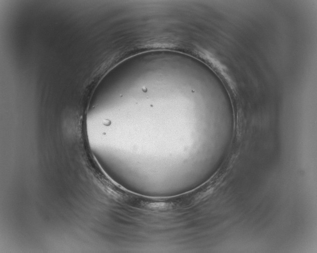 X0000070380153200606161353