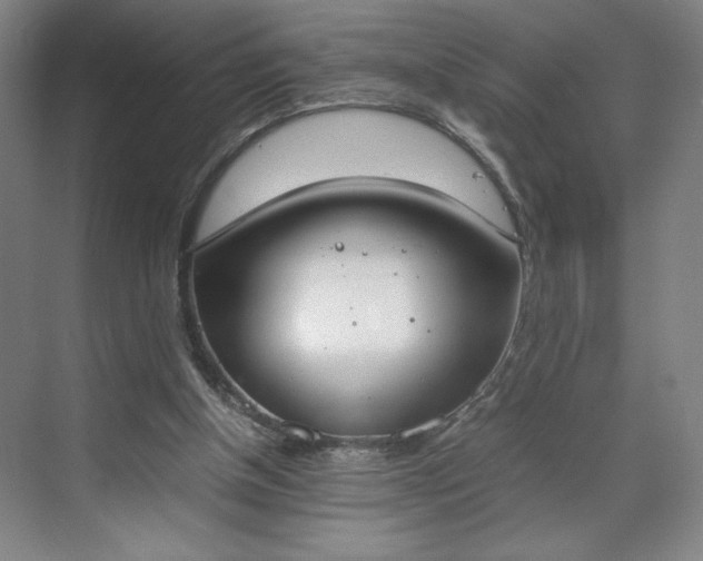 X0000070380154200606161353