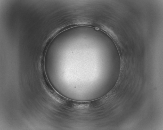 X0000070380155200606161353