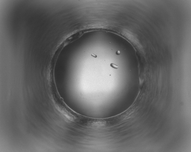 X0000070380156200606161353