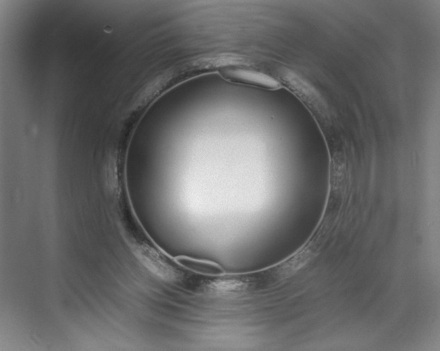 X0000070380158200606161353