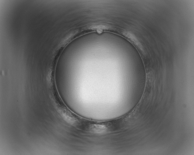 X0000070380159200606161353