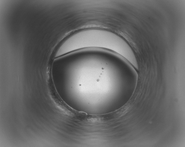 X0000070380160200606161353