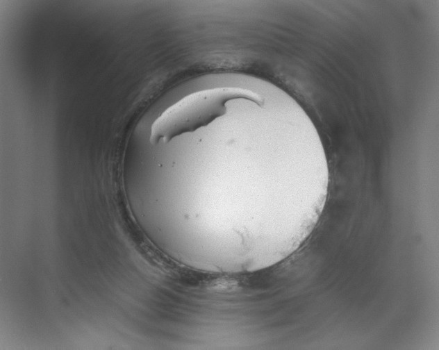 X0000070380162200606161353