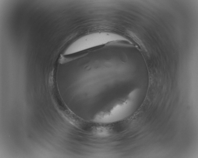 X0000070380163200606161353