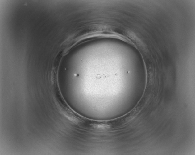 X0000070380165200606161353