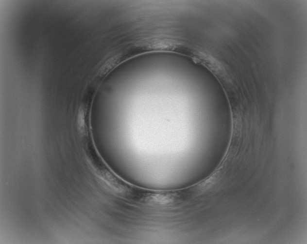 X0000070380166200606161353