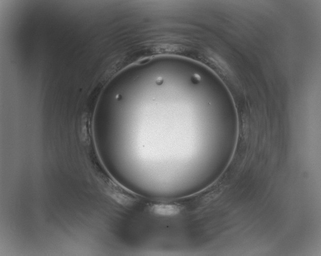 X0000070380169200606161353