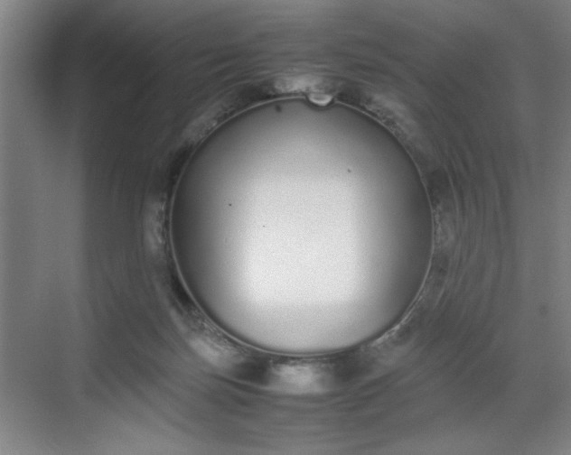 X0000070380171200606161353