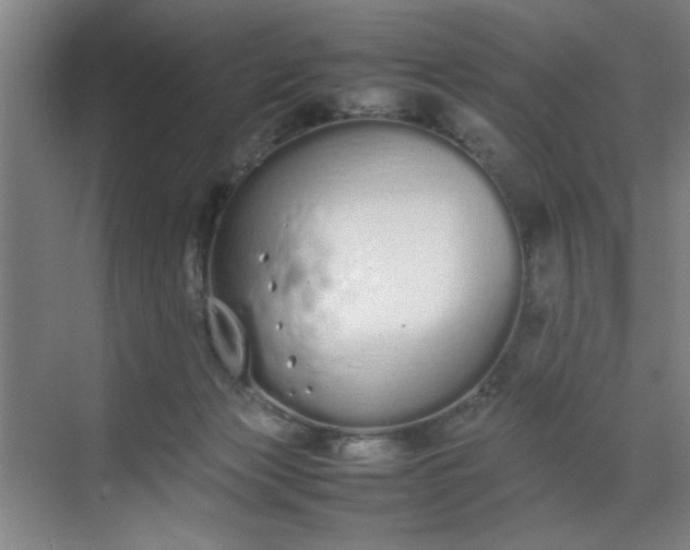 X0000070380173200606161353