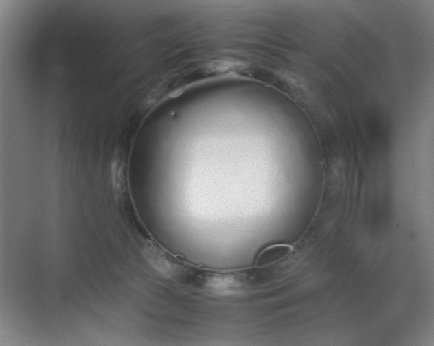 X0000070380177200606161353