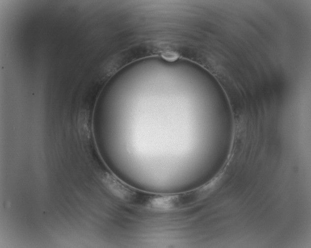 X0000070380178200606161353