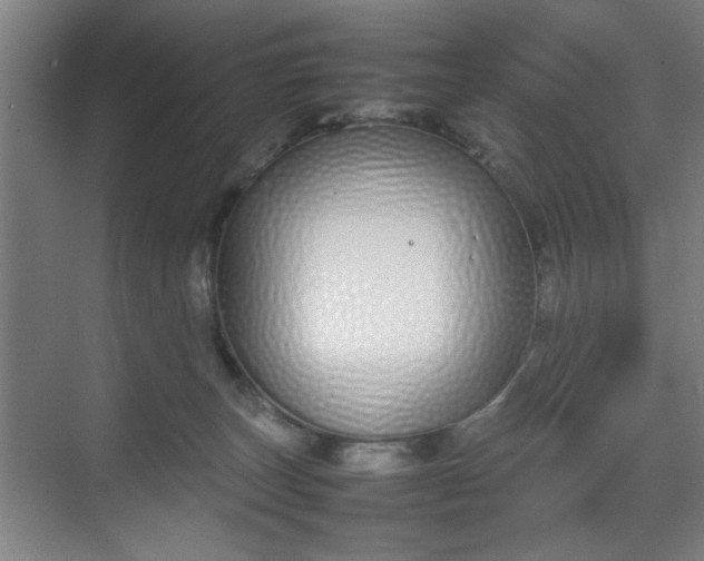 X0000070380179200606161353