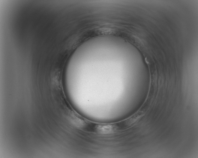 X0000070380181200606161353