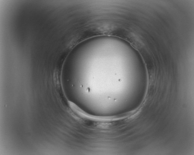 X0000070380182200606161353