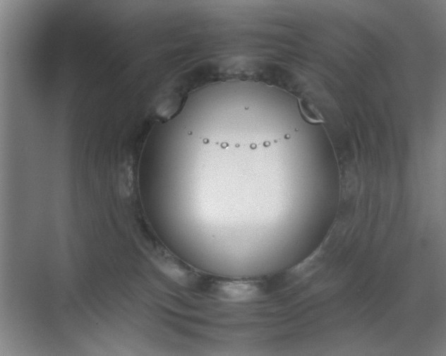 X0000070380183200606161353