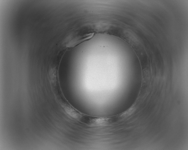 X0000070380184200606161353