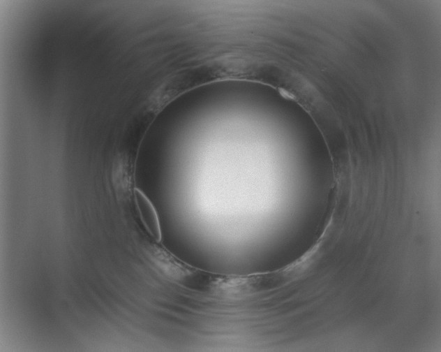 X0000070380186200606161353