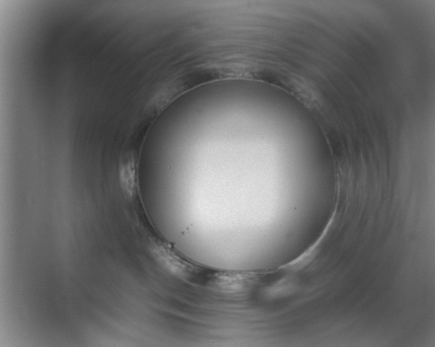 X0000070380190200606161353