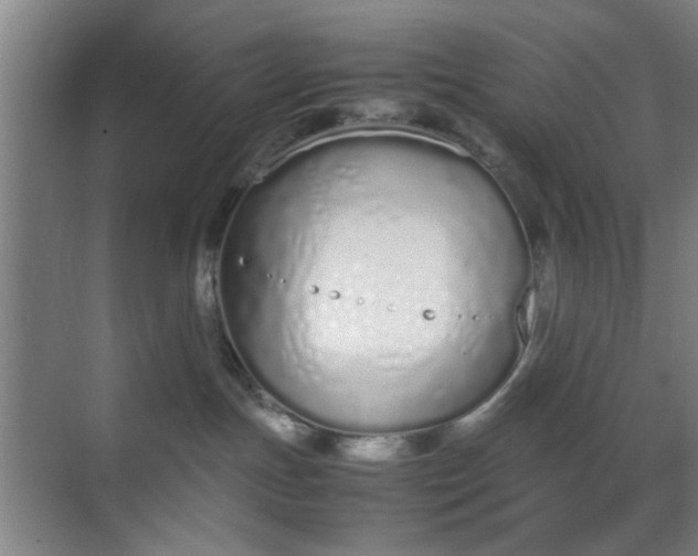 X0000070380191200606161353