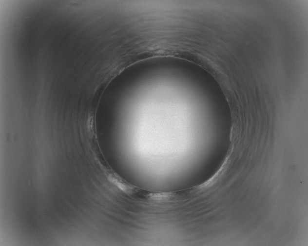 X0000070380192200606161353