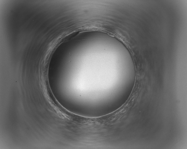 X0000070380193200606161353