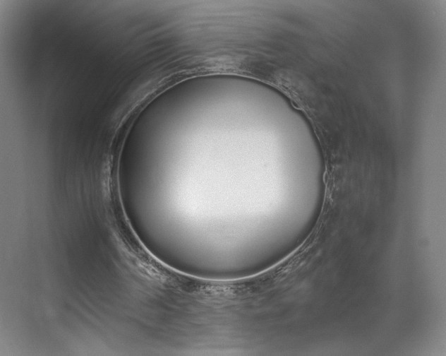 X0000070380194200606161353