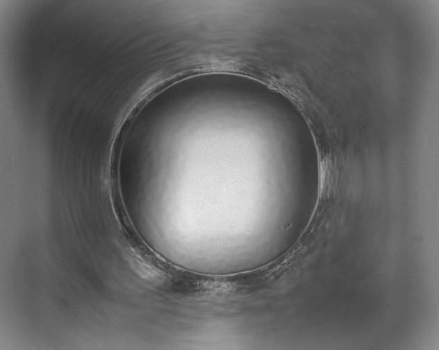 X0000070380195200606161353