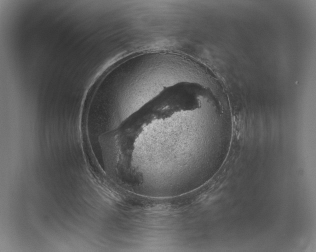 X0000070380196200606161353