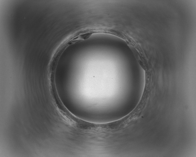 X0000070380197200606161353