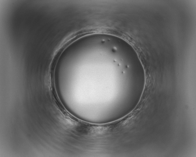 X0000070380198200606161353