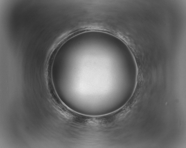 X0000070380199200606161352