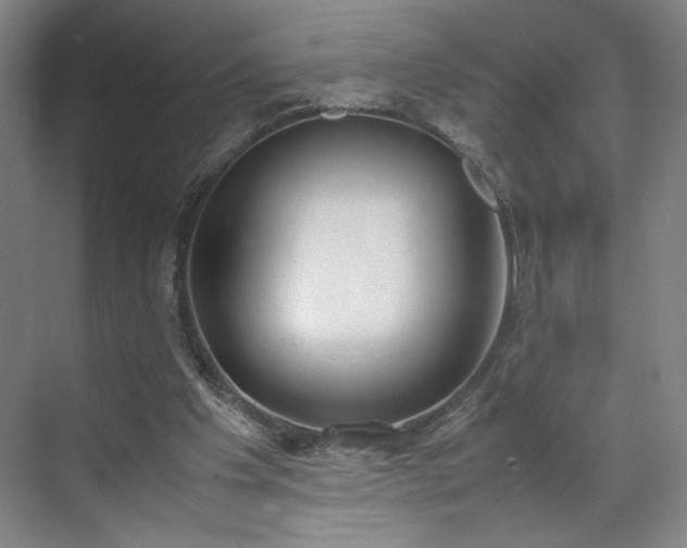 X0000070380201200606161352