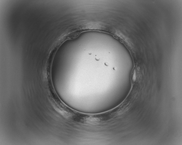 X0000070380203200606161352