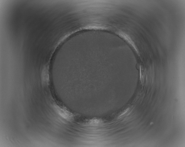 X0000070380204200606161352