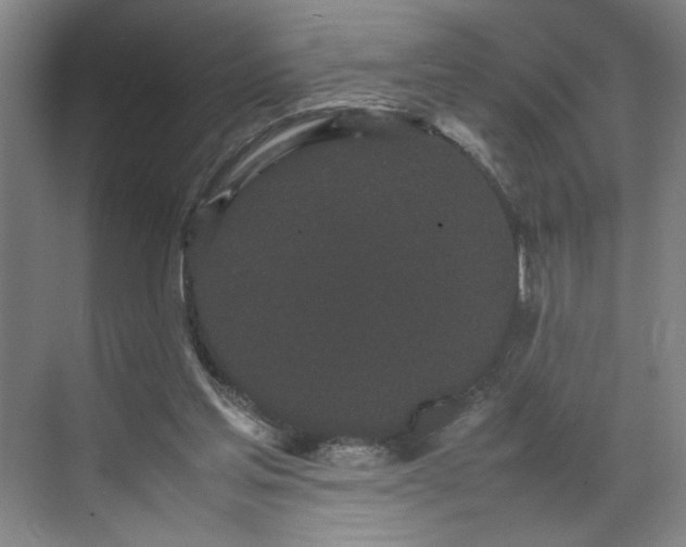 X0000070380205200606161352